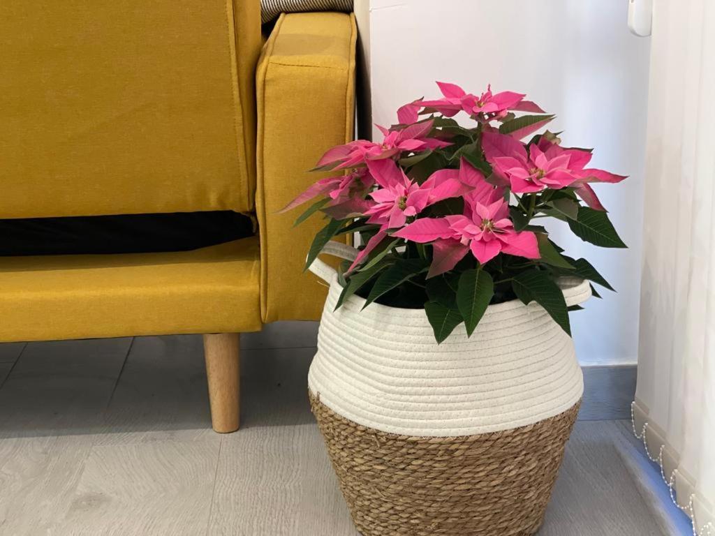 Nuevo Apartamento Folin Don Benito Kültér fotó